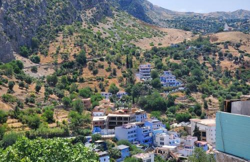 Medina of Chefchaouen Apartment | Rida Appartement