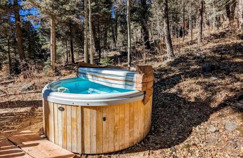 Taos Ski Valley House | Ridgerunner Cabin