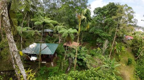 Tomohon Cabin | Rimba eco Resort