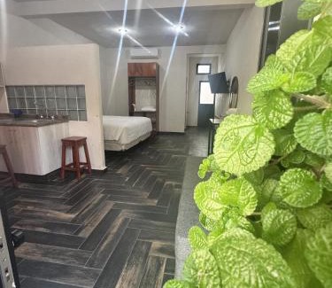 Jalpan de Serra Hotel | Rincón de la Sierra