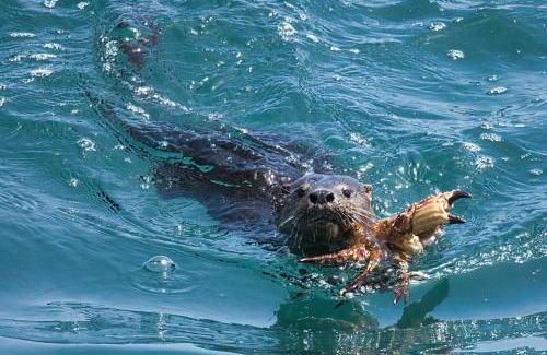 Placeres Apartment | Rincones del Placer, un lugar repleto cariño