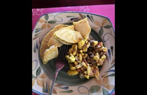 Ocho Rios Bed & Breakfast | ritashomeawayfromhome