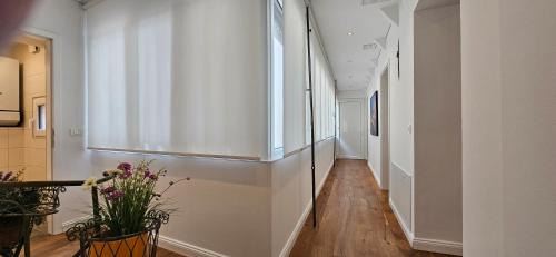 Ljubljana City Centre Apartment | Riva Residence in Old Town Ljubljana by the Cobblers' Bridge