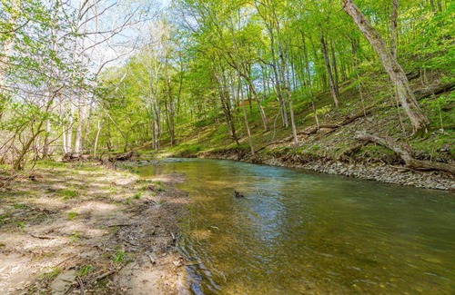 Berkeley Springs House | River Access Cabin with Hot Tub, Fire Pit, & WiFi!