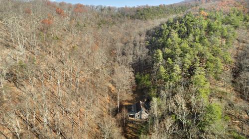 Great Cacapon Ski Chalet | River Access Loft Deck WiFI & Pet Friendly