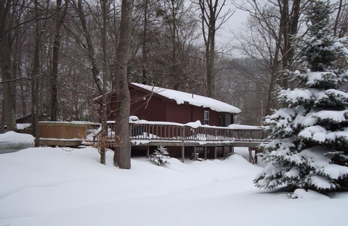 Elkins Cabin | River Front Cabin. Relax In The Hammock And Watch The River Flow By.
