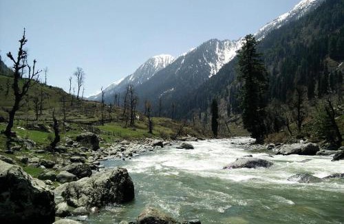 Pahalgam Hotel | River Front Guest House