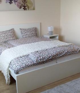 Kalocsa Apartment | River Side Apartman
