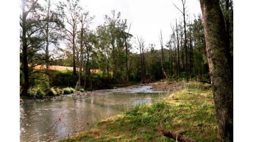 Bowman House | Rivers Edge Cabin by Tiny Away