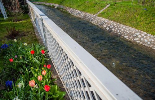 Hamor Apartment | Riverside Apartman* Miskolc