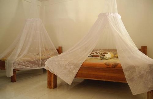 Bukit Lawang House | Riverside Guesthouse and Treks