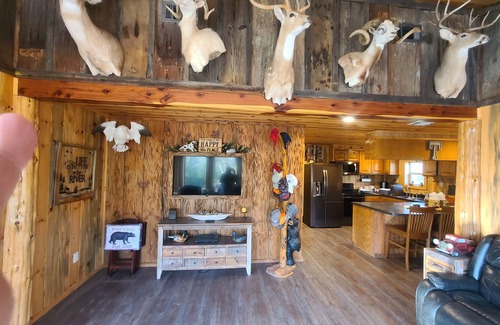 Alleene Cabin | Riverside Retreat Cabin on the banks of Little River.