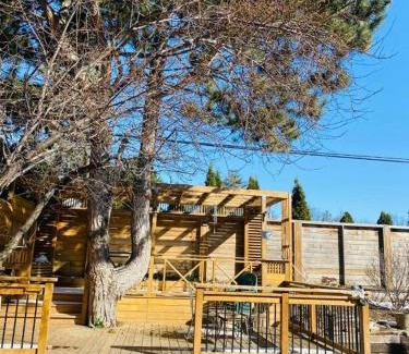 Mississauga House | Riverwood Home