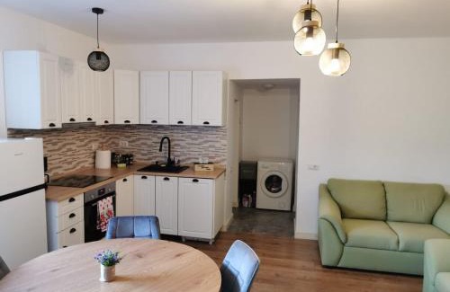 Campulung Moldovenesc House | Rivr House Bucovina