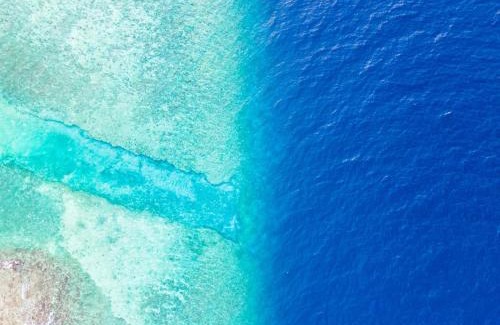 Thoddoo House | Riyaludhathuru Maldives