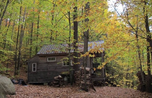 Denmark Cabin | "Robins Nest" Off Grid Solar Powered Eco Cabin