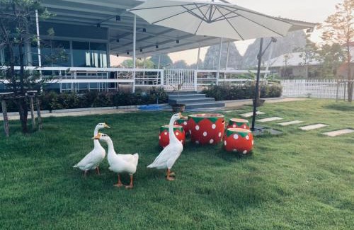 Ratchaburi Hotel | Rock Resort Ratchaburi