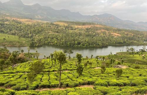 Suryanelli House | Rock Starzz Resort Munnar
