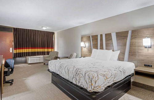 Homosassa Springs Hotel | Rodeway Inn