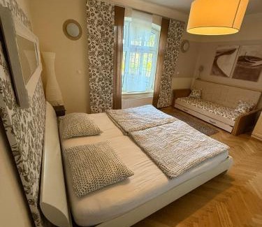 Lipova-Lazne Apartment | Rodinný apartmán Villa Magnólie - Lipová lázně