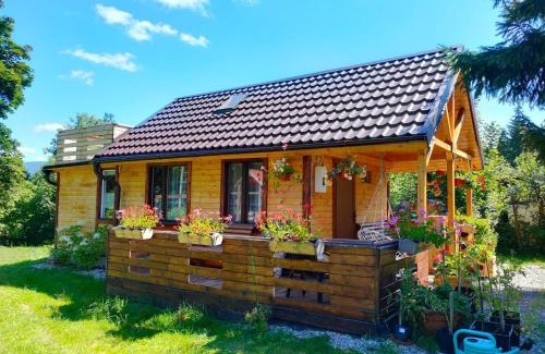 Miedzylesie House | Rodzinna Przystań
