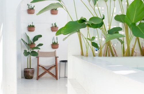 Makassar House | Roemah Renjana Sunny