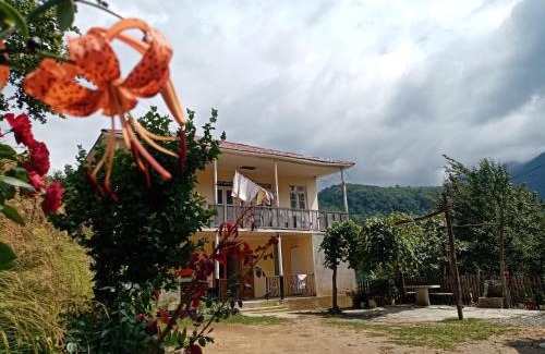 Adjara House | Rolandi's House