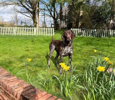 Whitbourne House | Rolling Hills and Woodland Views!-2 bed cottage with dog walking trails and local pub on your doorstep! Popular walking trails nearby-Malvern Hills and the Brockhampton Estate- Peaceful village on the border of Hereford and Worcester