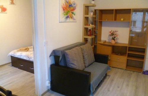 Deva Apartment | Romanilor - Studio First Floor