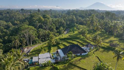 Tegallalang Resort | Romantic Cozy Three Bedroom Jungle View Villa in Ubud