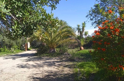Fonte do Bispo House | Romantic farm house with great garden