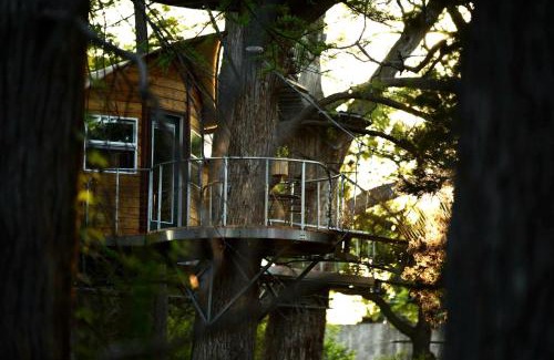 Spicewood House | Romantic Getaways in Fully-Equipped Tree House Rental in Spicewood, Texas