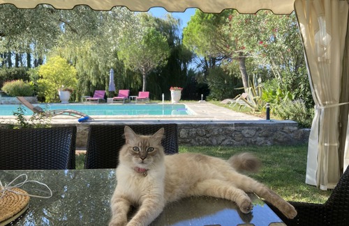 La Garde-Adhemar Cottage | Romantic LOFT in 18th century Provencal farmhouse