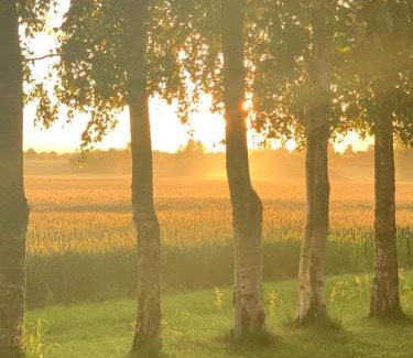 Idestrup Other | Romantic Luxus Glamping 3