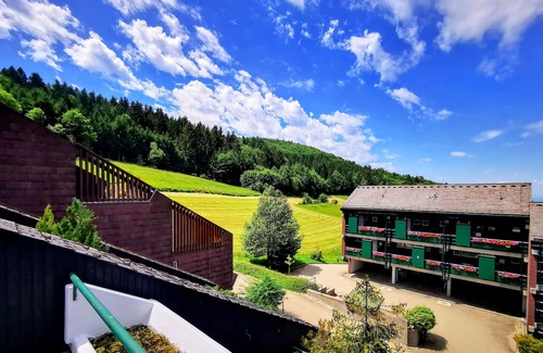 Sasbachwalden Apartment | Romantic modern Black Forest loft | Netflix | WiFi | free public transport