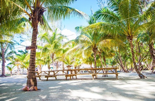 Thatch Caye Resort | Romantic Over-the-Water Bungalow w/Private Patio & Amazing Views - A/C Included