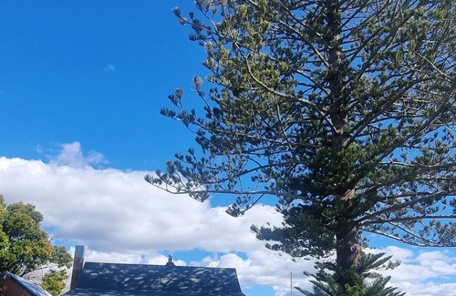 Whitford Cottage | Romantic Seaside Cottage: Country Calm, City Close, Retreat