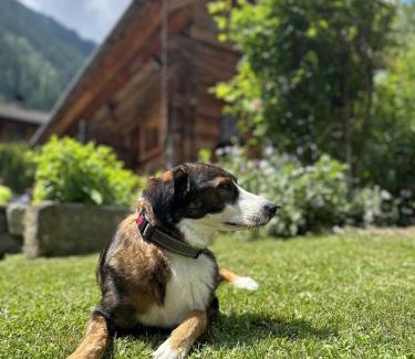 Flattach Ski Chalet | Romantikchalet