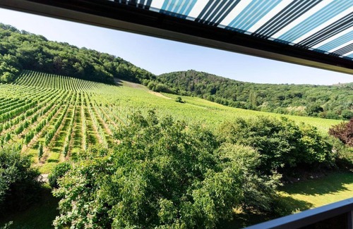 Andel Apartment | Room "Chardonnay" - Roussel - Hotel Restaurant