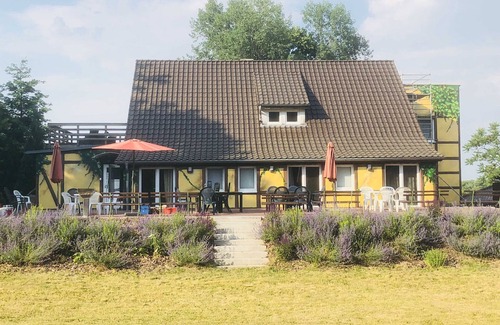 Feldberger Seenlandschaft Apartment | Room 4 Kleiner Haussee - Waldmaries vacation home