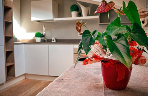 Ravenna Apartment | Room in Apartment - The Sweet Attic of Lu in the Historic Center