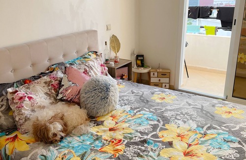 Agadir Bed & Breakfast | Room in charming apartment centre position in the city - Including Breakfast