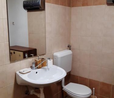 Bohinjska Bistrica House | Room Mia with balcony