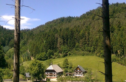 Hornberg Apartment | Room 'Talblick' with Mountain View, Balcony and Wi-Fi