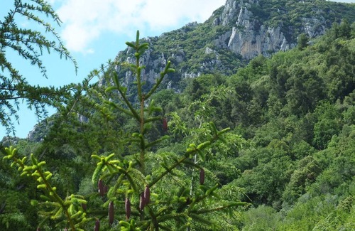 Terni Villa | Room with mountain view and the city of Terni in a villa among the olive trees.