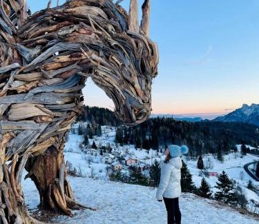 Lavarone Apartment | Rosa dei venti
