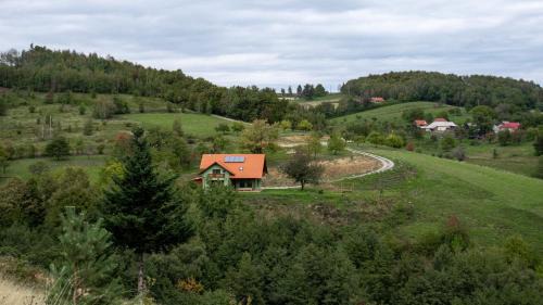 Valea Tirnei Cabin | Rose Hip Hill Guesthouse