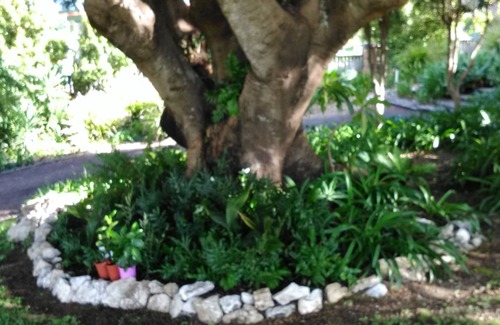 Ipswich Central Business District Cottage | Rosehill Apartment - Somewhere comfy