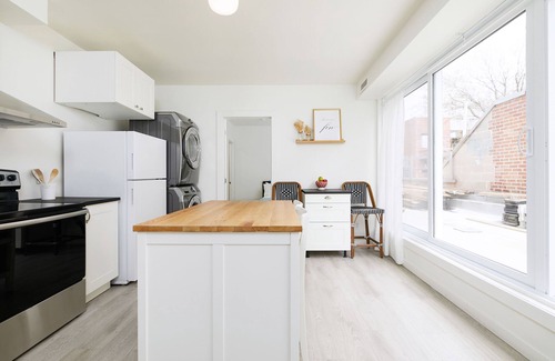 La Petite-Patrie Apartment | Rosemont Retreat: Chic 1BR Apt W/Terrace & AC on the Plaza St-Hubert