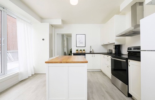 La Petite-Patrie Apartment | Rosemont Retreat: Chic 1BR Apt W/Terrace & AC on the Plaza St-Hubert